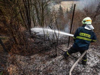 Tři jednotky zasahovaly u požáru lesního porostu v zahrádkářské kolonii v Novém Městě nad Metují