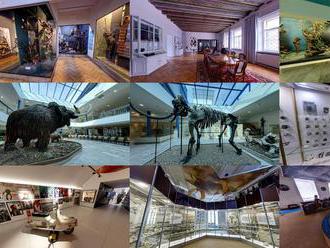 Zavřené muzeum není spící muzeum: Vybrané expozice