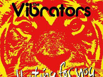 The Vibrators – Hunting For You