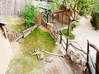 Zoopark na Kladensku má bez návštěvníků peníze na pár týdnů