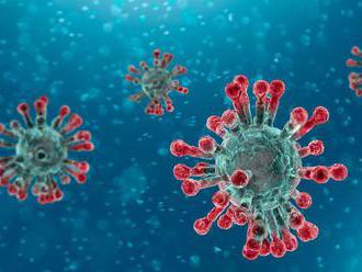 Vedci zistili, že nový koronavírus je produktom prirodzeného vývoja