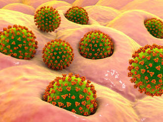 Mrazivé zábery: 'Prelet' pľúcami zdevastovanými koronavírusom