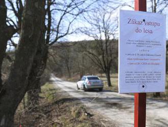 V Slanských lesoch platí zákaz vstupu, našli tam uhynuté diviaky