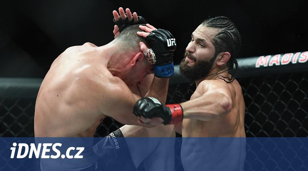 UFC hodlá pořádat zápasy bojových umění na soukromém ostrově
