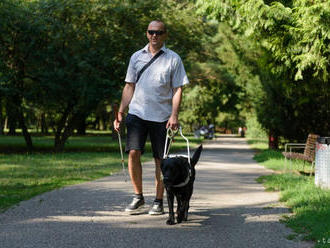 Vodiaci pes pomáha nevidiacemu k nezávislosti