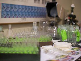Projekt ChemTube sa snaží skvalitňovať vzdelávanie v chémii a farmácii