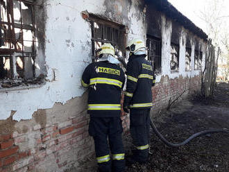 Požár  staré opuštěné budovy v Milovicích likvidovali hasiči z pěti jednotek