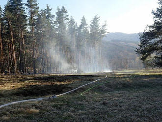 Jednotky z druhého stupně zasahovaly u požáru lesa v blízkosti přírodní památky Stráň u Slavkova, je
