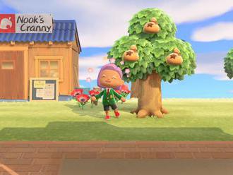 17 best Animal Crossing: New Horizons tips for Nintendo Switch     - CNET