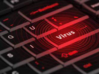 Vývojáři antiviru Whalebone z Brna překonali milion zákazníků