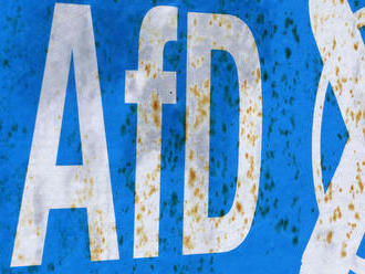 AfD zbavila funkcie hovorcu, ktorý sa sám ozačil za 'fašistu'