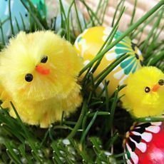 Velikonoční zvyky – bolí nebo nebolí?