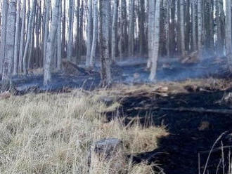 Hasiči neustále v pohotovosti: Zlikvidovali požiar lesa a lúky na Pezinskej Babe