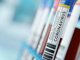 KORONAVÍRUS Vakcína proti COVID-19 nebude hneď: Mnohí Slováci by sa zaočkovať nedali