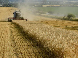 KORONAVÍRUS Slovensko ako potravinové smetisko Európy? Poľnohospodári vyjadrili obavy