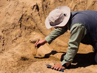 Archeológovia objavili kosti približne 60 mamutov