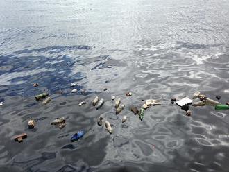 Konec plastů v nápojových obalech? Nahradit by je mohly biodegradabilní rostlinné polymery