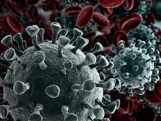 Nový koronavirus se množí až 270krát rychleji, říká expertka Peková. Konvenční vakcíny jsou prý vyho
