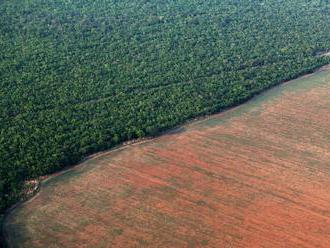 Brazília rokuje o zákone, ktorý by umožnil privatizáciu pôdy v Amazonskom pralese