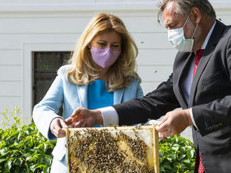 V Prezidentskej záhrade osadili dva včelie úle