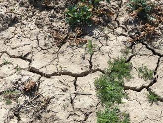 Extrémne sucho je momentálne na troch percentách územia Slovenska