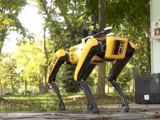 Singapur použil robotických psov aby monitorovali rozostupy medzi ľuďmi