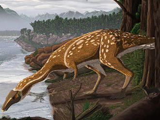 V Austrálii po prvý raz identifikovali vzácneho bezzubého dinosaura