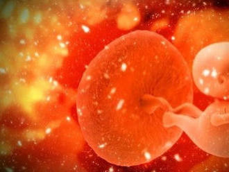 Hrozivé odhalenie u tehotných žien s COVIDOM-19: Deje sa to aj v placente!