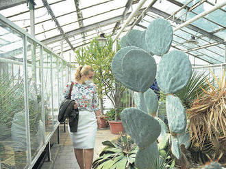 Košická botanická záhrada otvorila aj skleníky