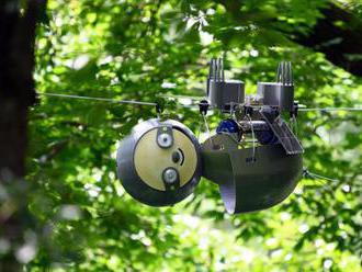 Botanickú záhradu v Atlante sleduje robotický leňoch