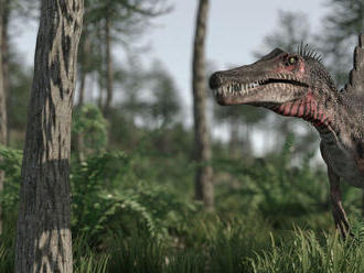 Spinosaurus mal namiesto chvosta veľkú plutvu