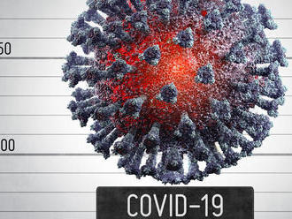 Nová vedecká štúdia opisuje koronavírus ako cievne ochorenie