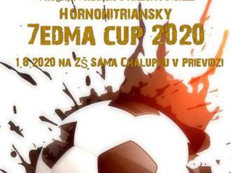 7edma cup 2020 a Charitatívny beh pre Valentínku