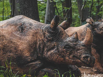Stezku korunami stromů Krkonoše zdobí dřevěný nosorožec