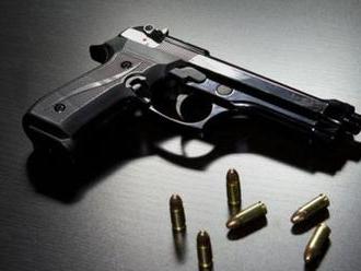 Česká vláda schválila návrh, ktorý do ústavy zavedie právo na zbraň