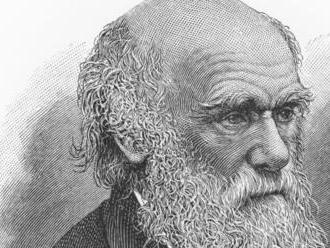 Slávny 'opičí proces' dal za pravdu Biblii, Darwin ale neprehral