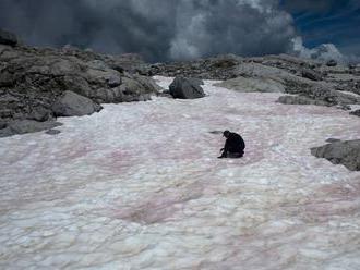 Ľadovec Presena v talianskych Alpách zružovel. Môže za to riasa