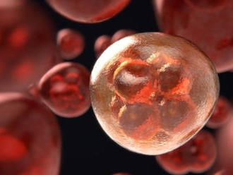 Vyvinuli krvný test: 5 typov rakovín objaví o niekoľko rokov skôr!