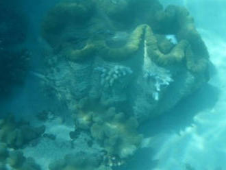 Neuveriteľný objav na dne mora v Austrálii: Má potenciál prepísať históriu!