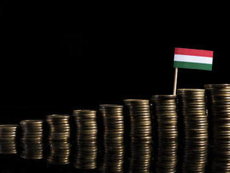Aké máte možnosti podnikania v Maďarsku?