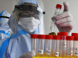 ONLINE: Latinská Amerika má už 7 miliónov nakazených koronavírusom