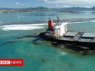 Why the Mauritius oil spill is so serious