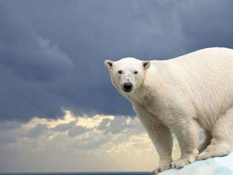 Ľad v Severnom ľadovom oceáne sa topí. Do roku 2035 by sa mal úplne stratiť