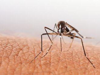 Látka v repelente na komáre môže chrániť pred koronavírusom
