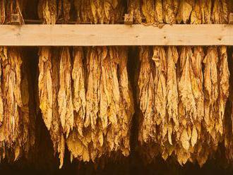 Finančná správa odhalila v Dolnej Strede sklad s 20 tonami nelegálneho tabaku
