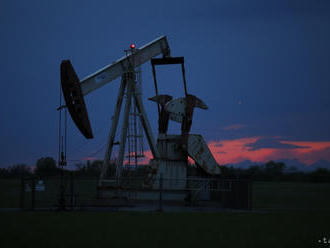 Ropná firma Total zvýši investície do obnoviteľných zdrojov energie