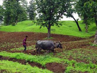 Farmáři v Indii bojují proti zemědělské reformě blokádou silnic