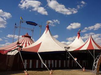 Francie chce zakázat vystoupení cvičených zvířat v cirkusech