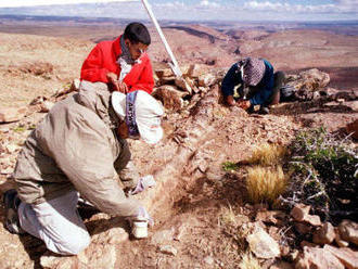 Vědci našli fosílii patrně největšího tvora, který kdy žil