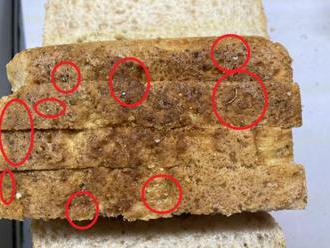 SZPI varuje před toustovým chlebem z Polska s kovovými střepy